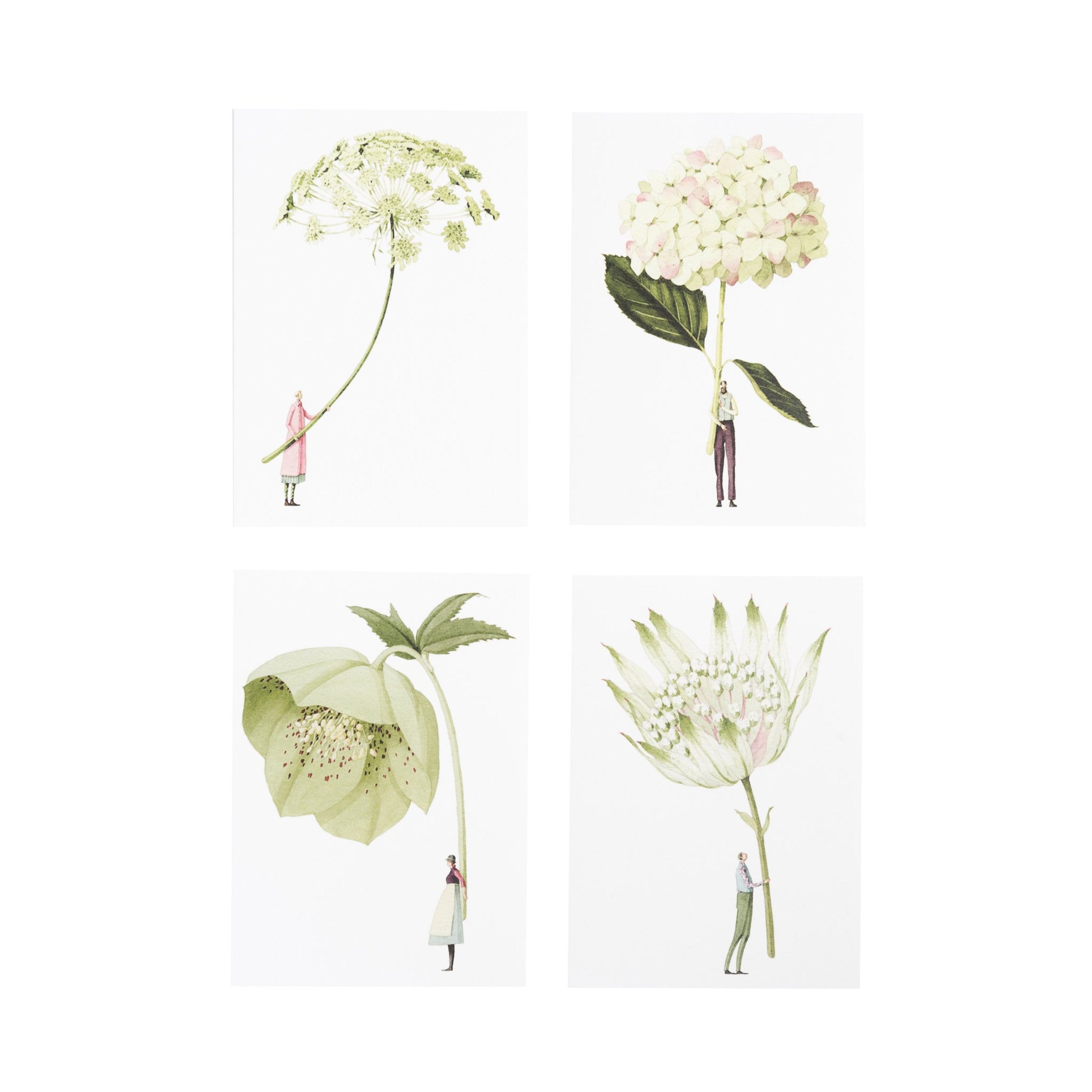 'In Bloom' - Pack of  Notecards by Artist Laura Stoddart