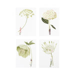 Load image into Gallery viewer, &#39;In Bloom&#39; - Pack of  Notecards by Artist Laura Stoddart
